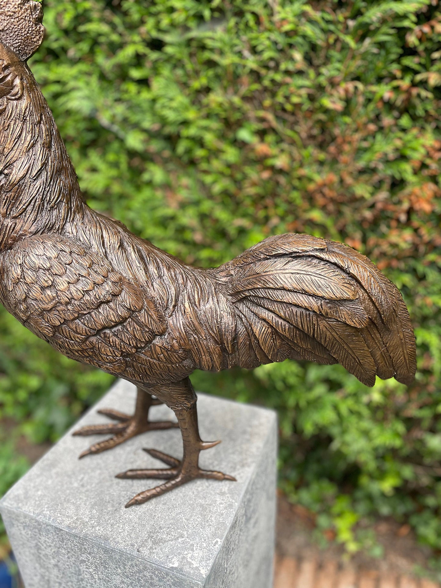 Morning Call Rooster – Bronze Sculpture. 53x25x50cm - 5.9Kg