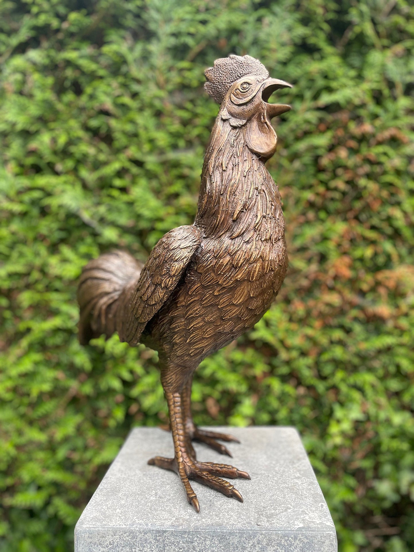 Morning Call Rooster – Bronze Sculpture. 53x25x50cm - 5.9Kg