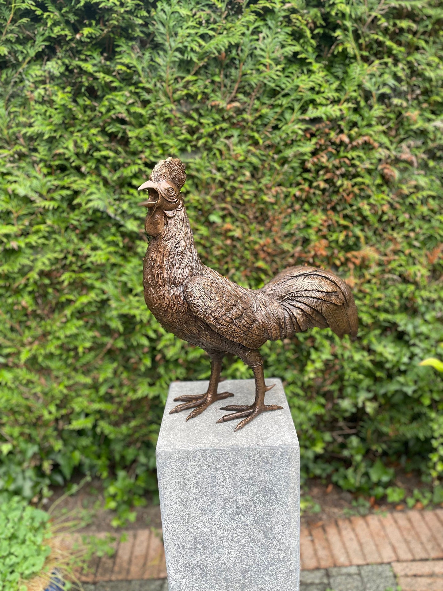 Morning Call Rooster – Bronze Sculpture. 53x25x50cm - 5.9Kg