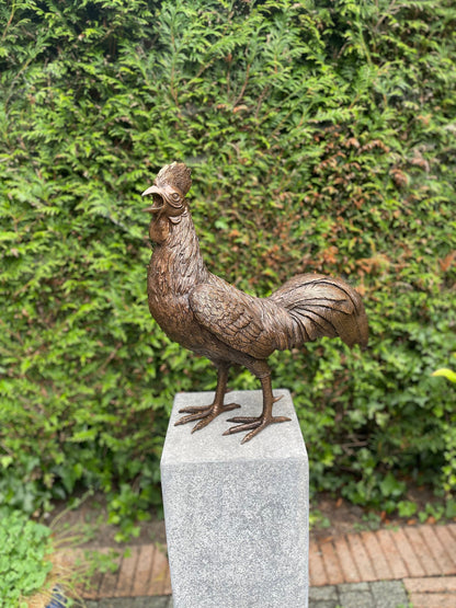 Morning Call Rooster – Bronze Sculpture. 53x25x50cm - 5.9Kg