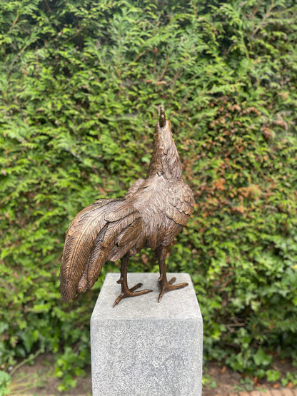 Morning Call Rooster – Bronze Sculpture. 53x25x50cm - 5.9Kg