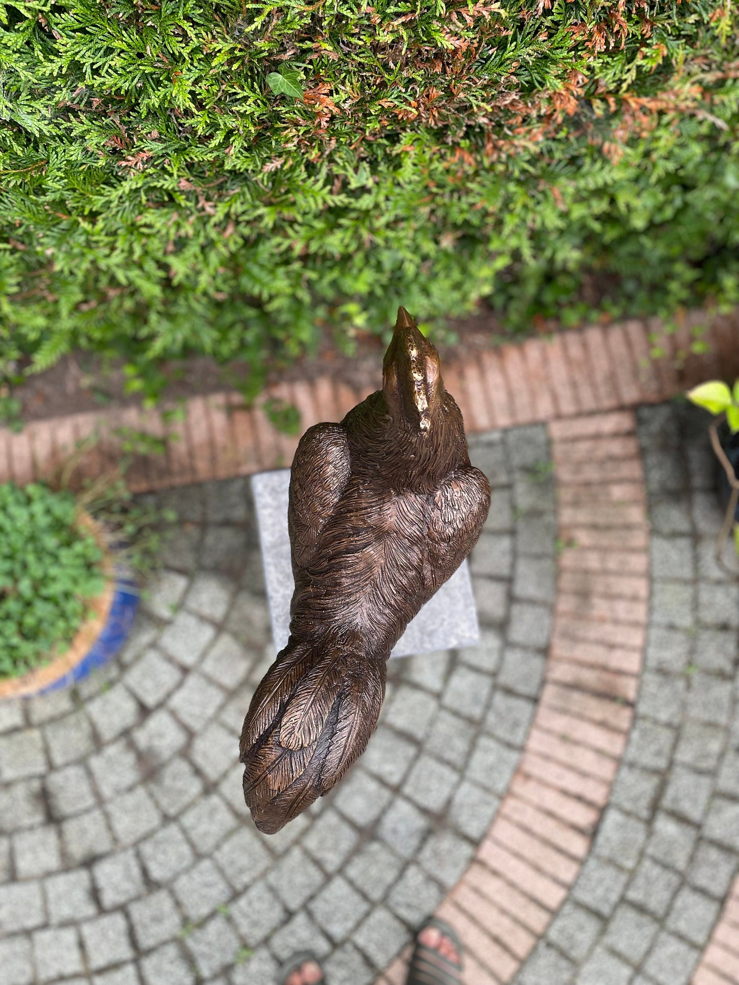 Morning Call Rooster – Bronze Sculpture. 53x25x50cm - 5.9Kg