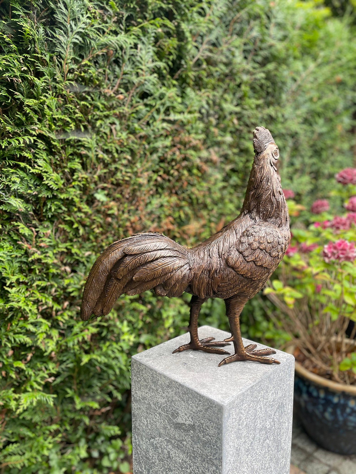 Morning Call Rooster – Bronze Sculpture. 53x25x50cm - 5.9Kg