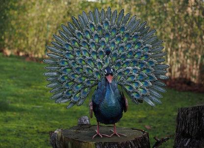 Iron Peacock – Iron Sculpture. 40x28x10cm - 2Kg