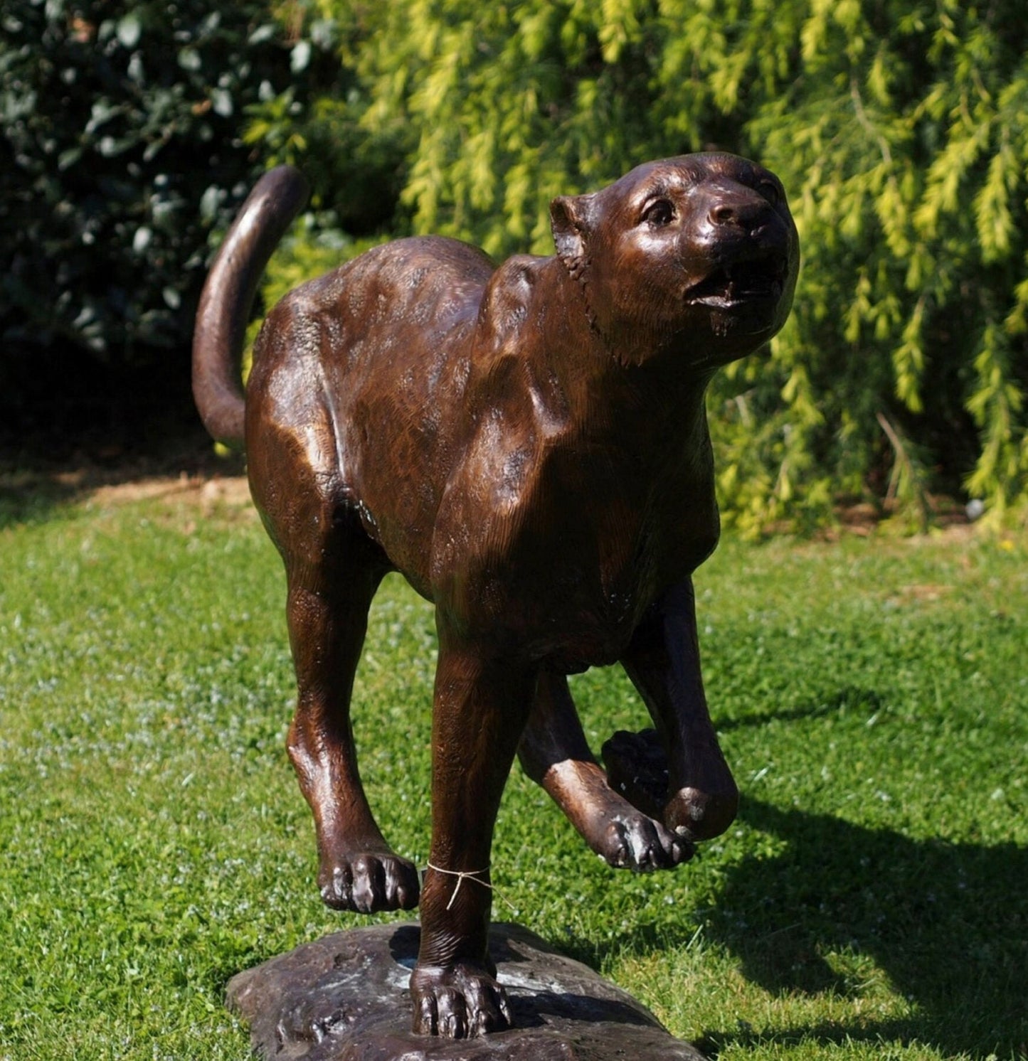 Running Cheetah – Bronze Sculpture. 190x45x91cm - 52Kg