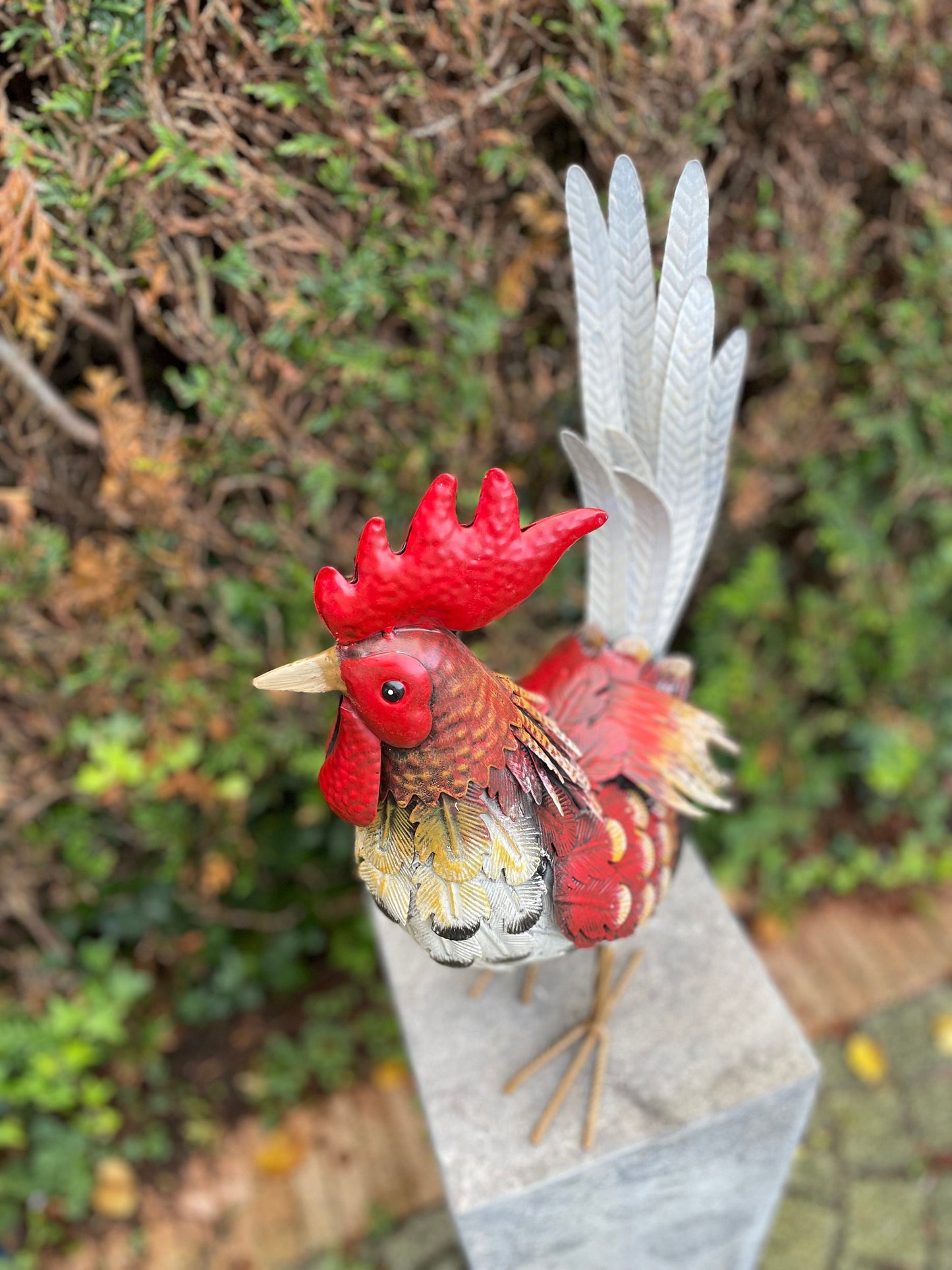 Colorful Rooster – Iron Sculpture. 32x16x52cm - 0.4Kg