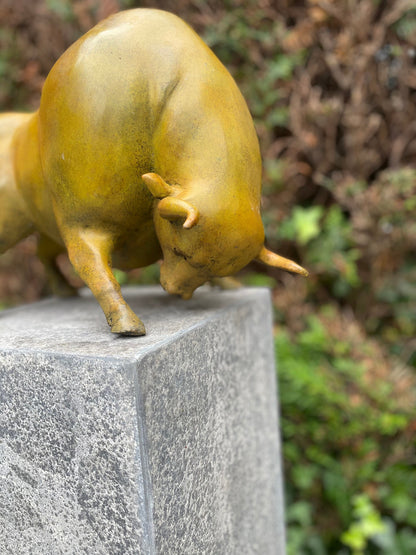 Golden Bull Pose – Bronze Sculpture. 38x20x27cm - 6Kg