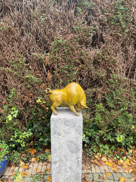 Golden Bull Pose – Bronze Sculpture. 38x20x27cm - 6Kg