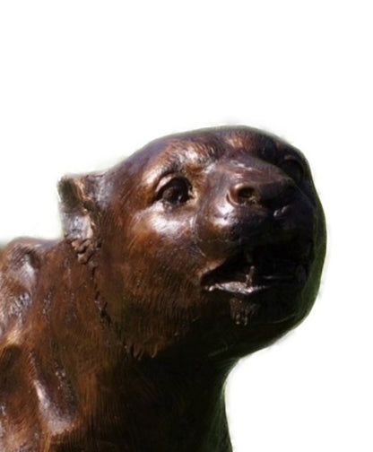 Running Cheetah – Bronze Sculpture. 190x45x91cm - 52Kg