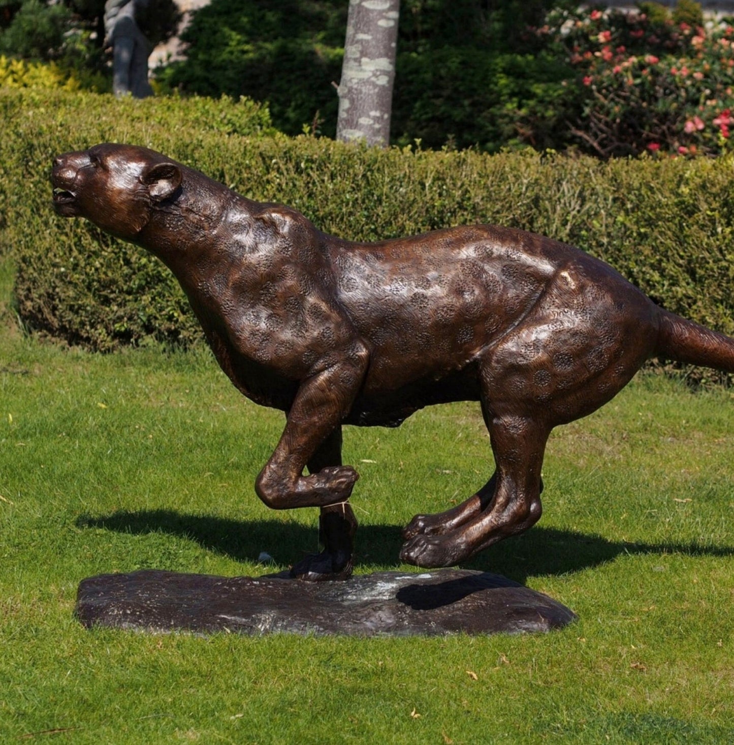 Running Cheetah – Bronze Sculpture. 190x45x91cm - 52Kg