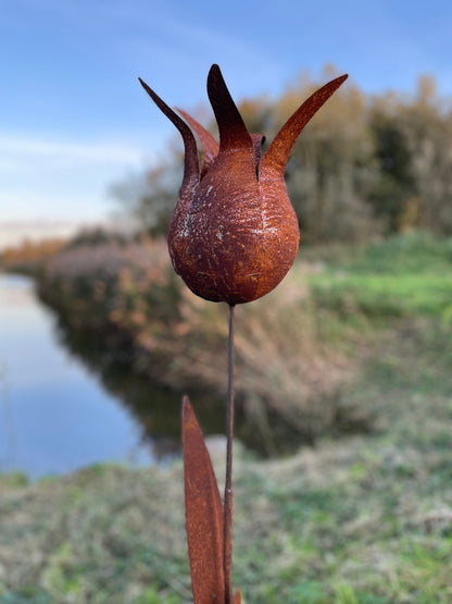 Tulip Silhouette – Iron Sculpture. 55x1x160cm