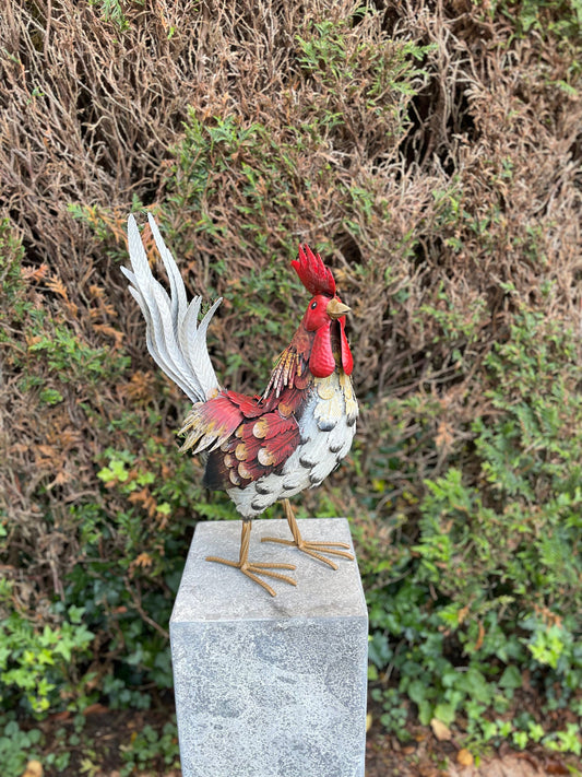 Colorful Rooster – Iron Sculpture. 32x16x52cm - 0.4Kg