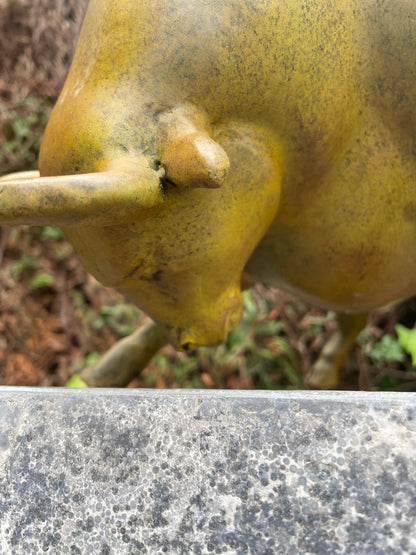 Golden Bull Pose – Bronze Sculpture. 38x20x27cm - 6Kg