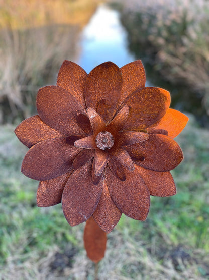 Garden Bloom – Iron Sculpture. 55x1x160cm