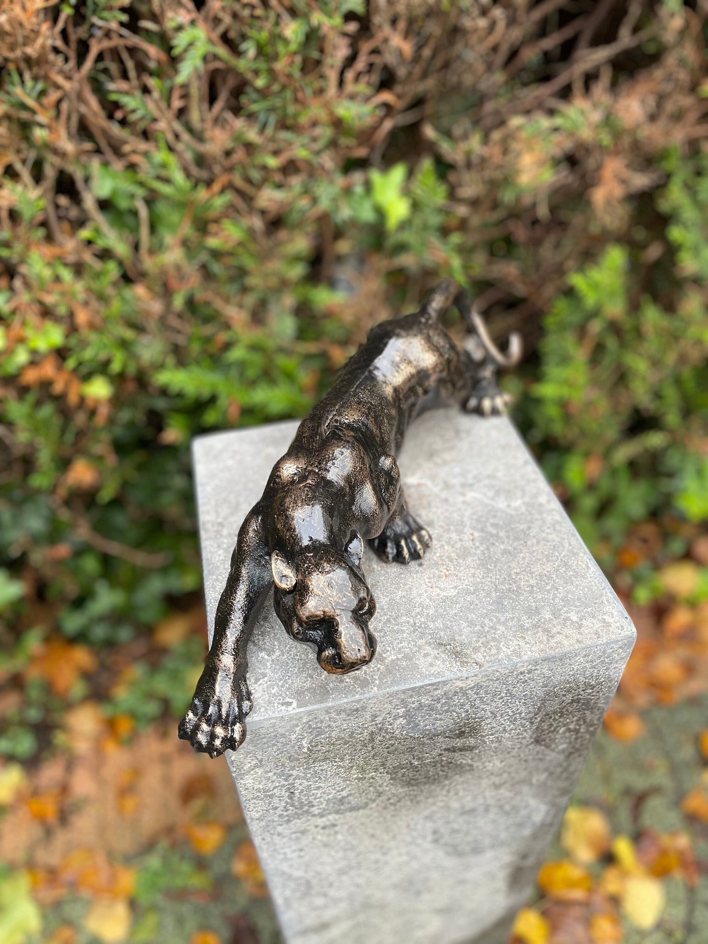 Crouching Panther – Bronze Sculpture. 4.3Kg