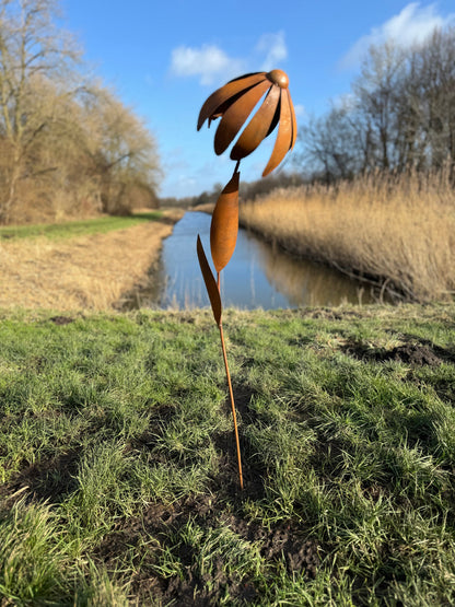 Wild Daisy – Iron Sculpture. 25x25x125cm