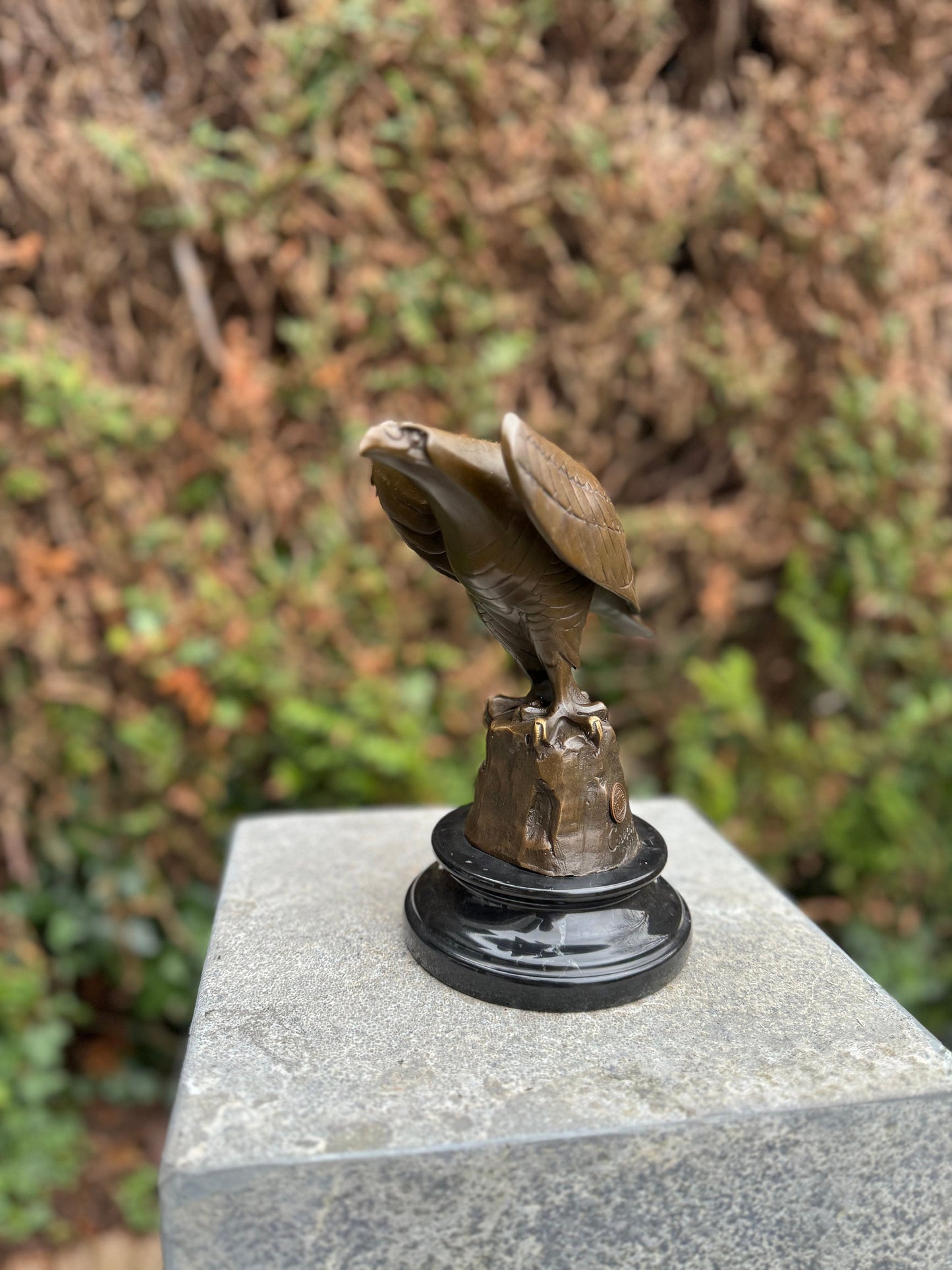 Sharp-Eyed Eagle – Bronze Sculpture. 20x12x21cm - 2Kg
