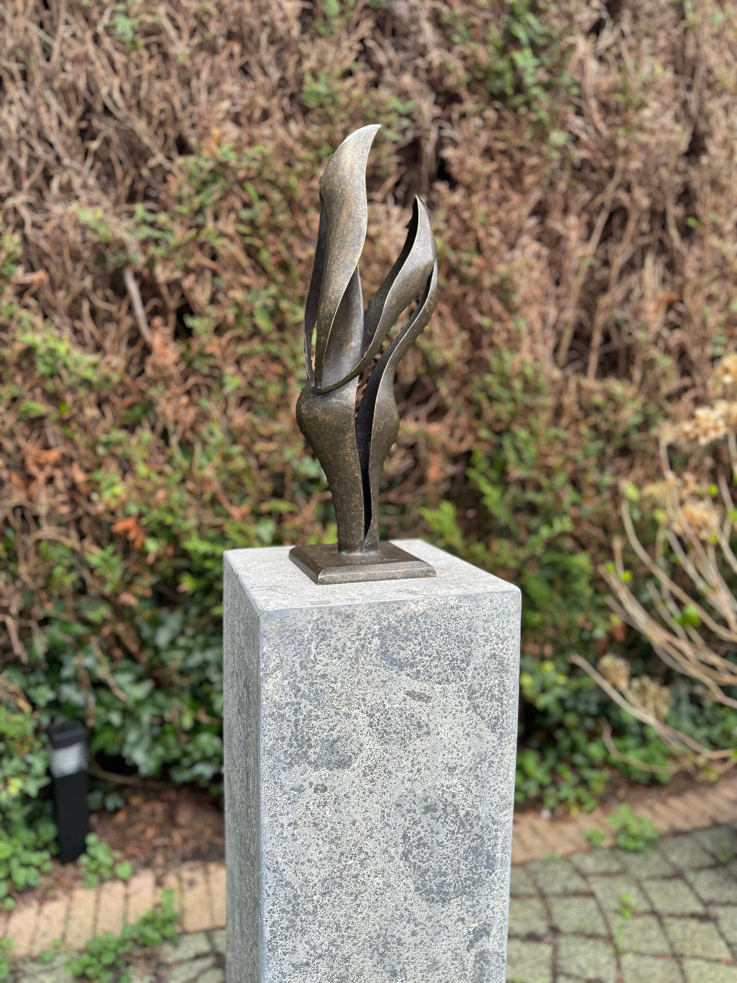 Fluid Motion – Bronze Sculpture. 15x13x45cm - 2.7Kg
