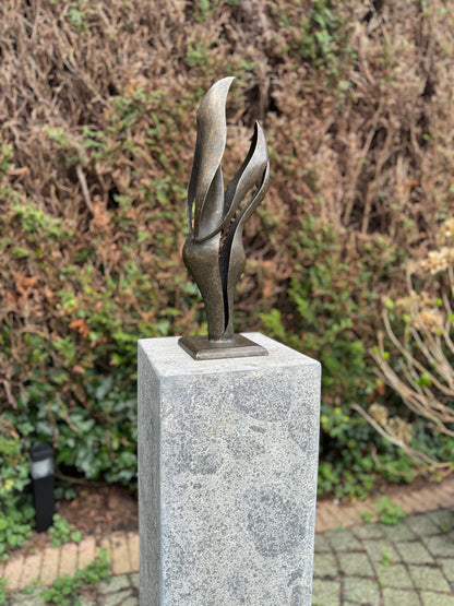Fluid Motion – Bronze Sculpture. 15x13x45cm - 2.7Kg