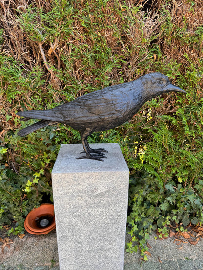 Majestic Raven – Bronze Sculpture. 55x13x37cm