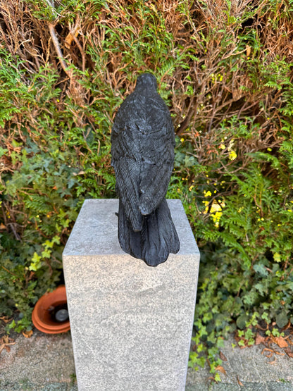 Majestic Raven – Bronze Sculpture. 55x13x37cm