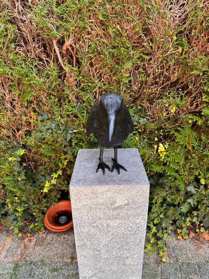 Majestic Raven – Bronze Sculpture. 55x13x37cm
