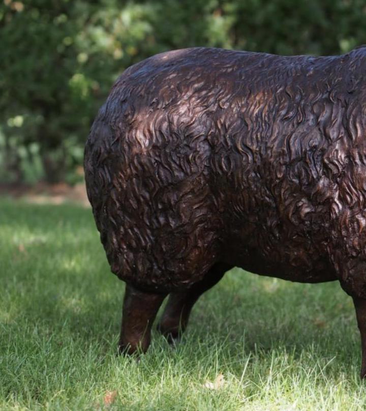 Majestic Ram – Bronze Sculpture. Variations Available