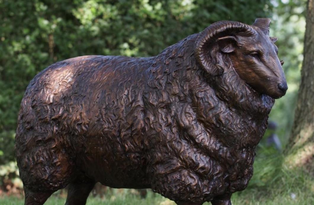 Majestic Ram – Bronze Sculpture. Variations Available