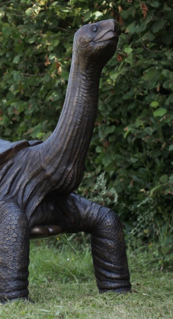 Giant Tortoise – Bronze Sculpture. 155x110x150cm - 40Kg