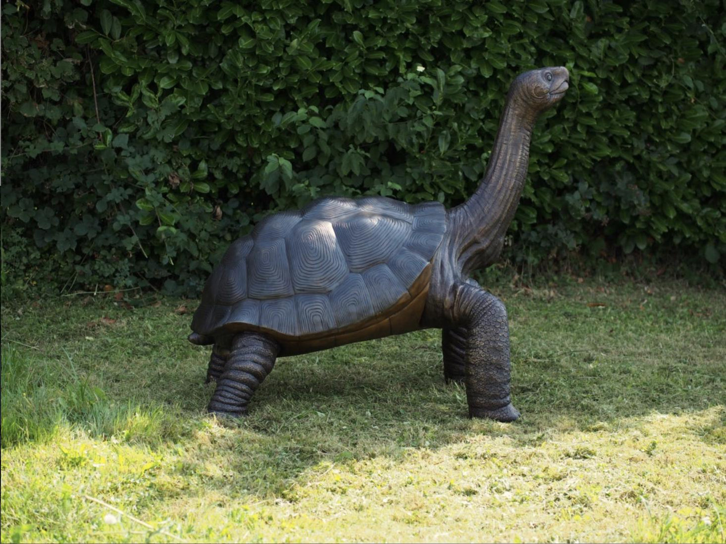 Giant Tortoise – Bronze Sculpture. 155x110x150cm - 40Kg