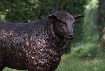 Majestic Ram – Bronze Sculpture. Variations Available