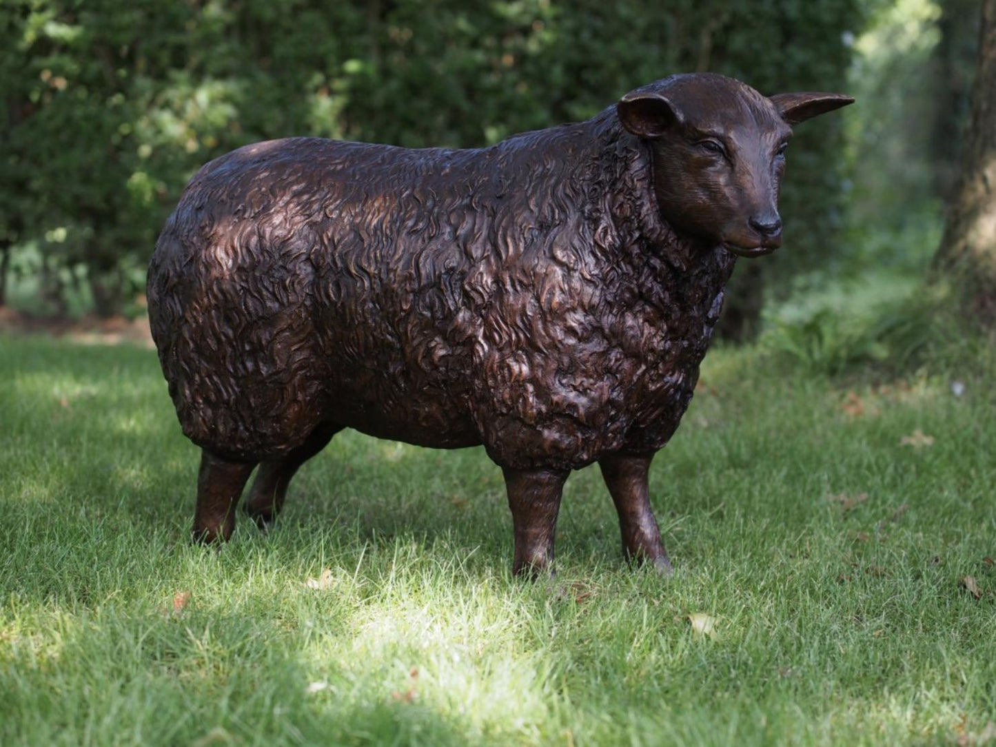 Majestic Ram – Bronze Sculpture. Variations Available