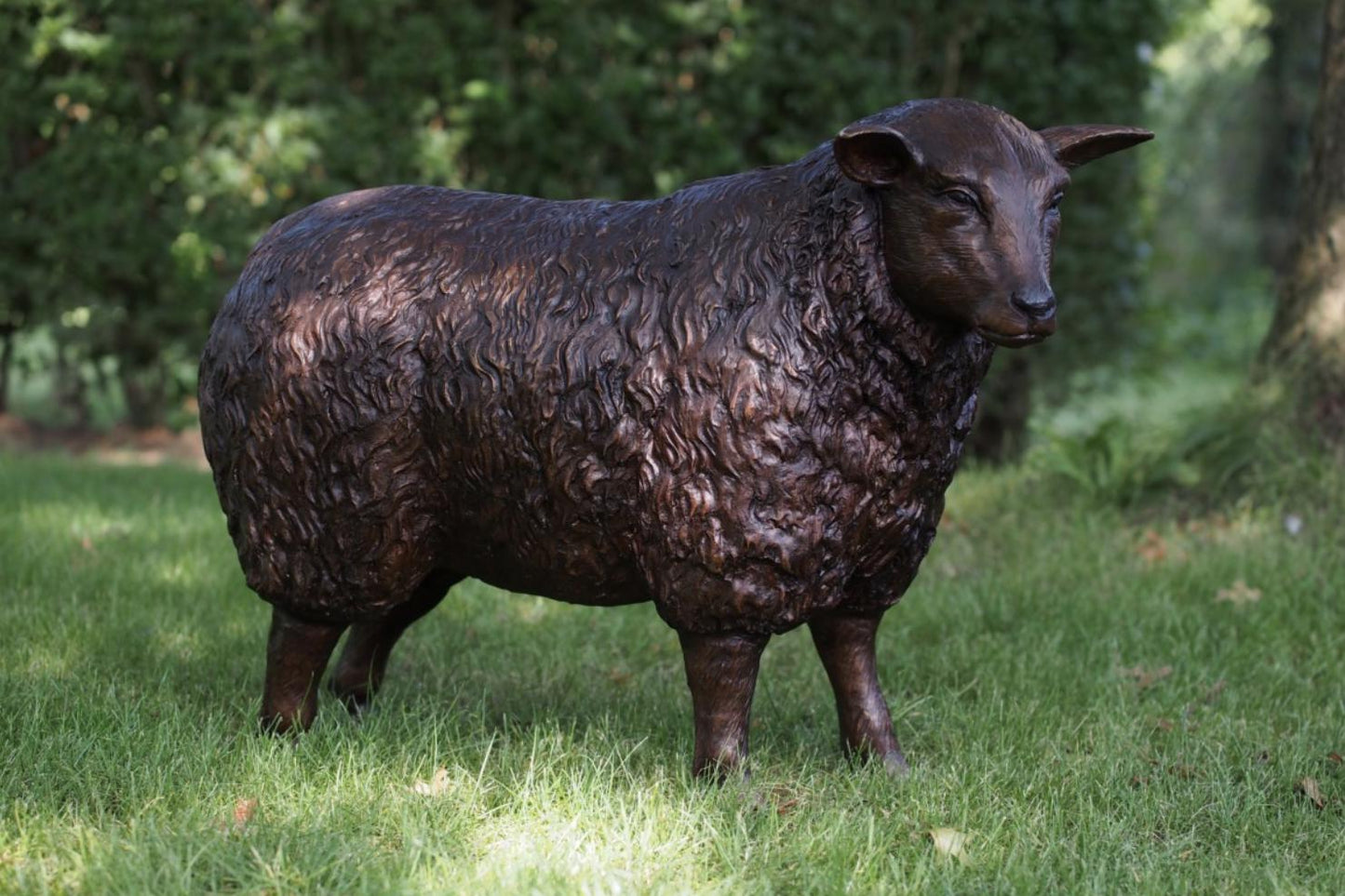 Majestic Ram – Bronze Sculpture. Variations Available