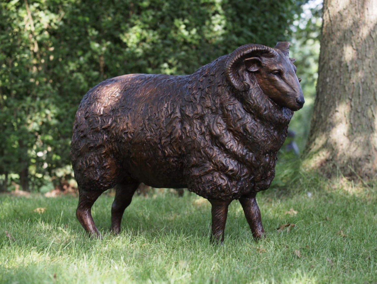 Majestic Ram – Bronze Sculpture. Variations Available