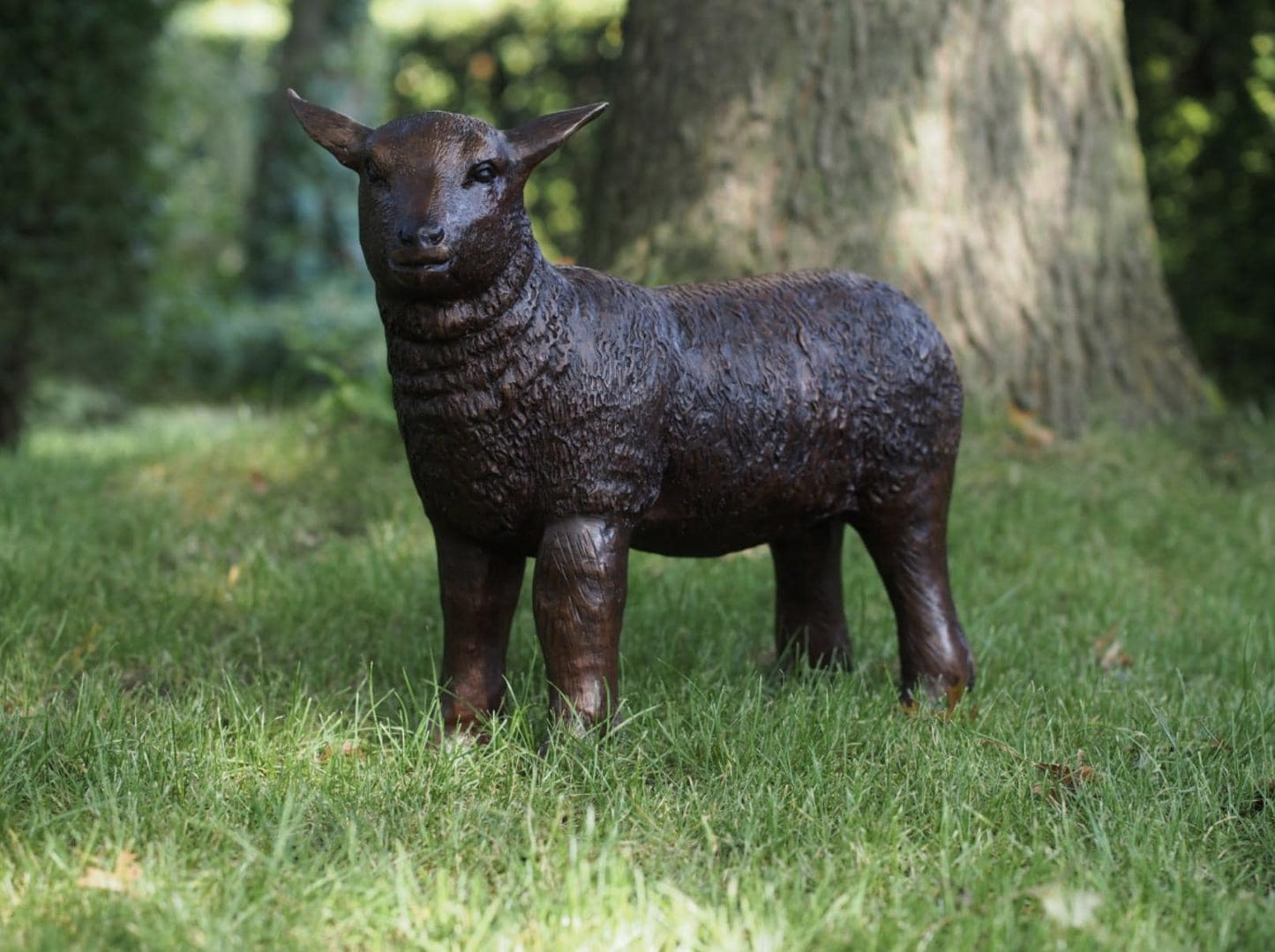 Majestic Ram – Bronze Sculpture. Variations Available