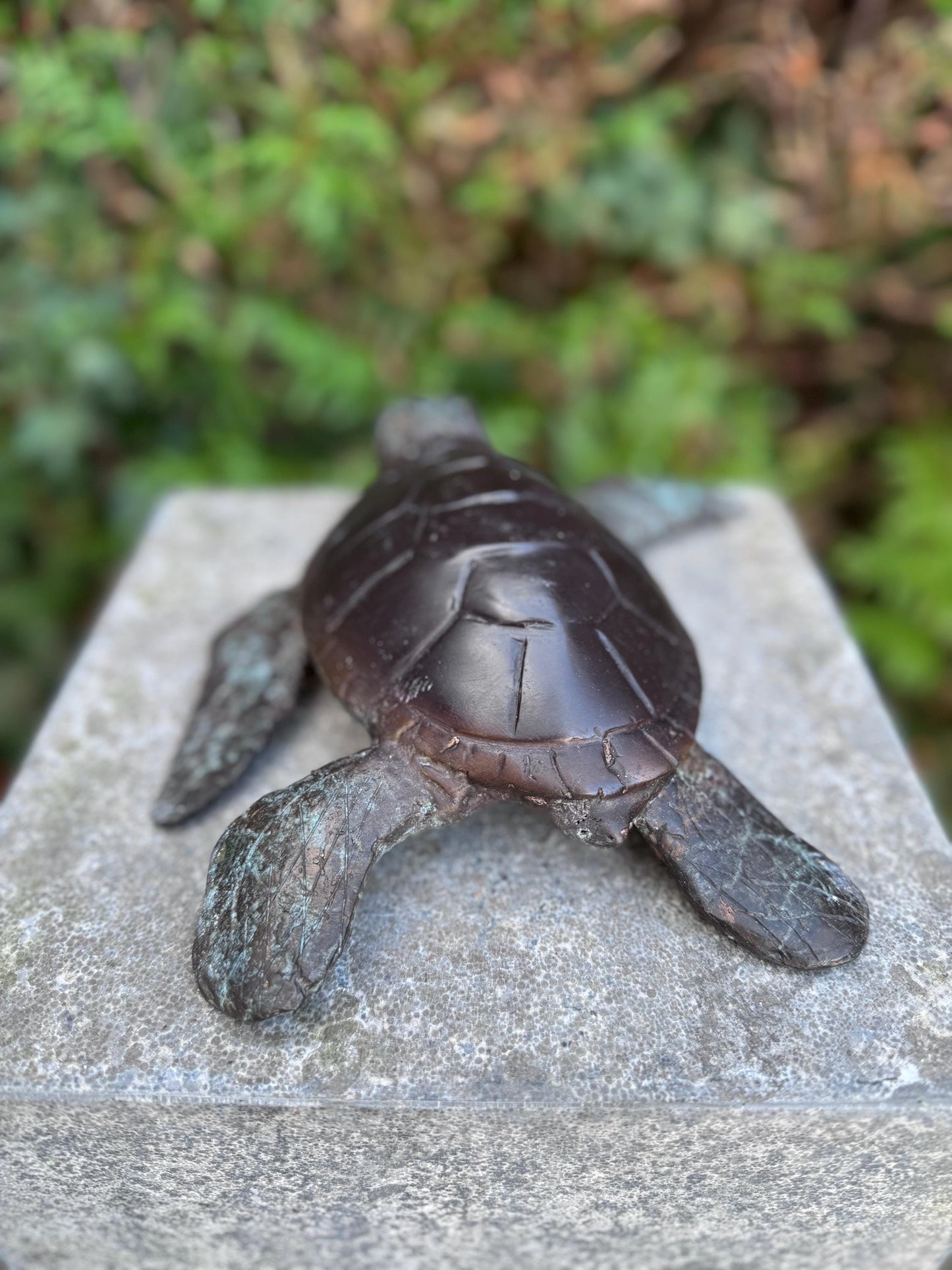 Sea Turtle – Bronze Sculpture. 6x22x23cm - 1.5Kg