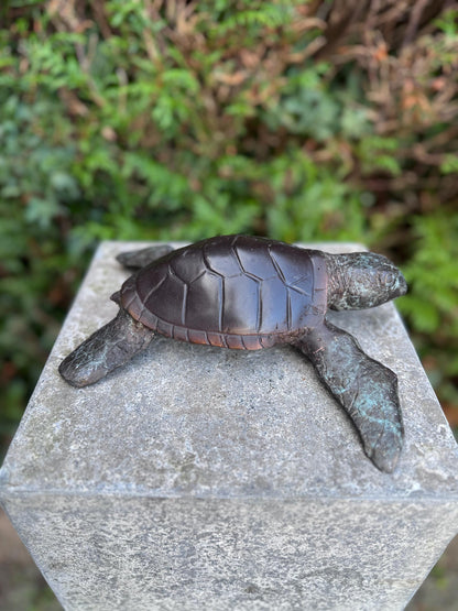 Sea Turtle – Bronze Sculpture. 6x22x23cm - 1.5Kg