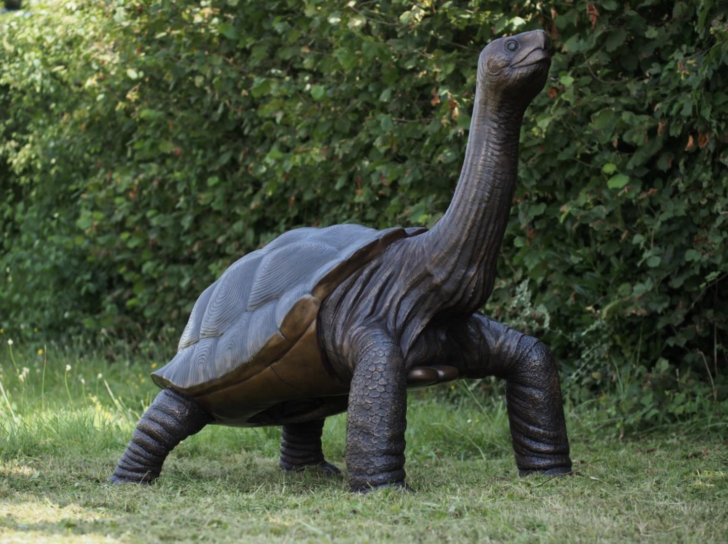 Giant Tortoise – Bronze Sculpture. 155x110x150cm - 40Kg