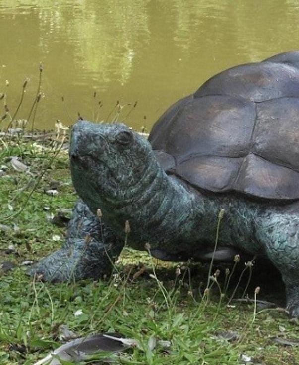 Wise Tortoise – Bronze Sculpture. 90x55x35cm - 14Kg