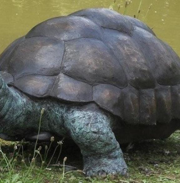 Wise Tortoise – Bronze Sculpture. 90x55x35cm - 14Kg