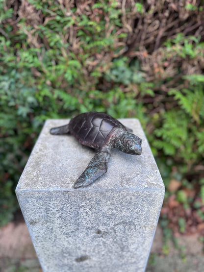 Sea Turtle – Bronze Sculpture. 6x22x23cm - 1.5Kg