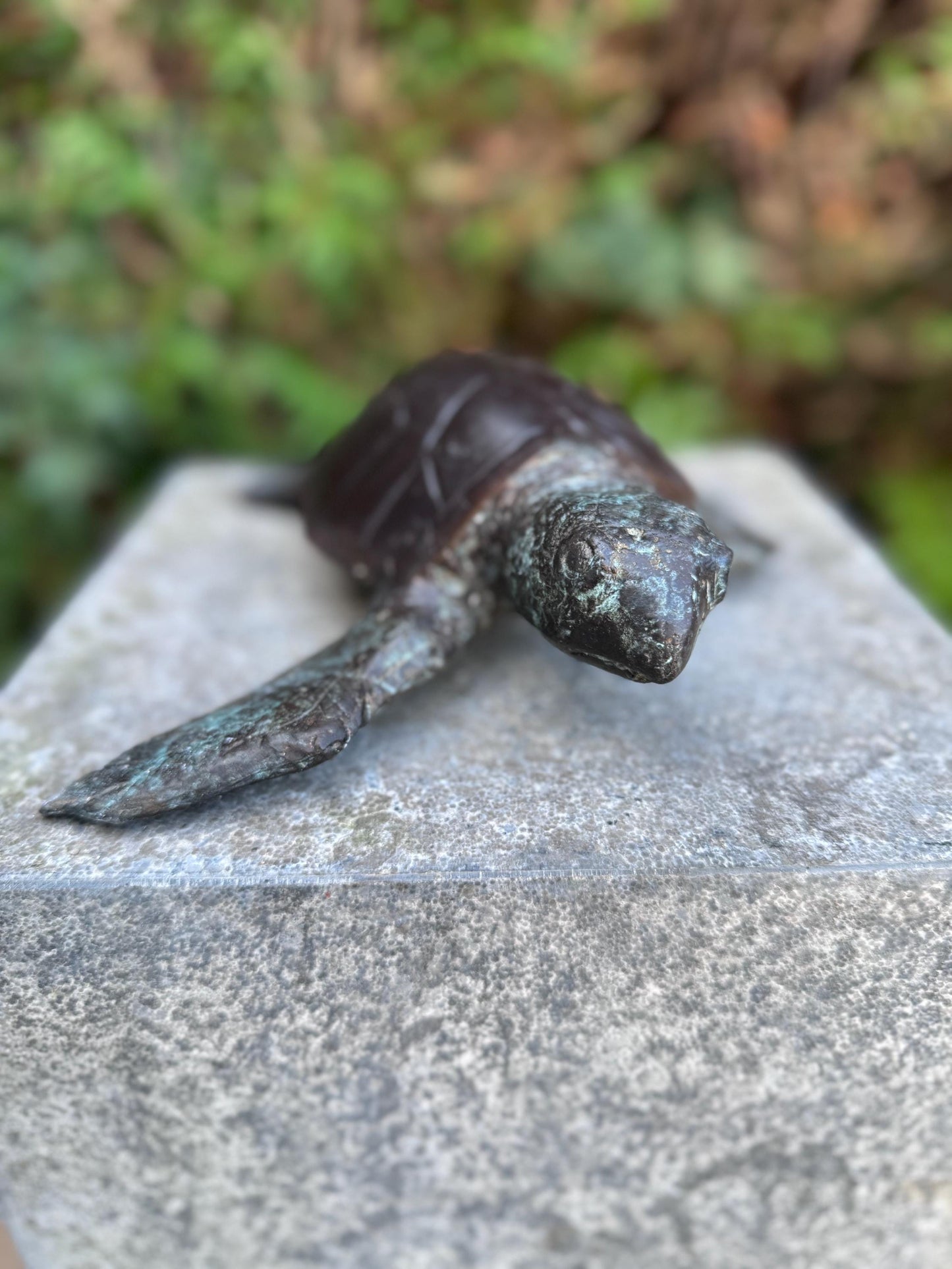 Sea Turtle – Bronze Sculpture. 6x22x23cm - 1.5Kg