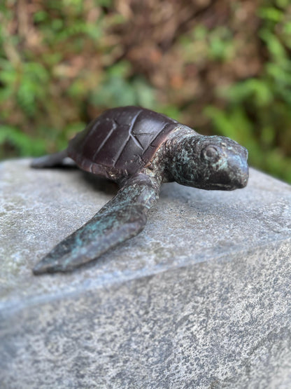 Sea Turtle – Bronze Sculpture. 6x22x23cm - 1.5Kg