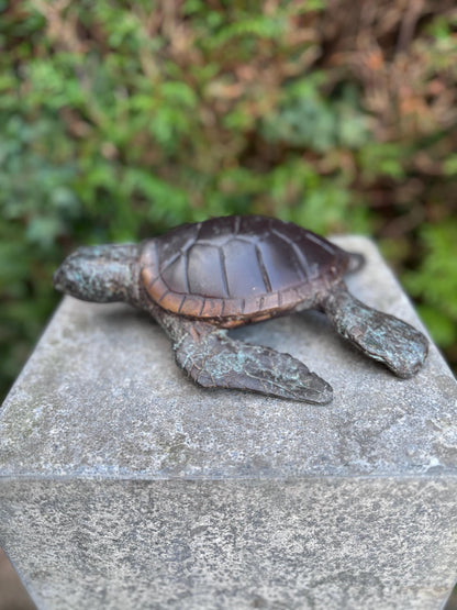 Sea Turtle – Bronze Sculpture. 6x22x23cm - 1.5Kg