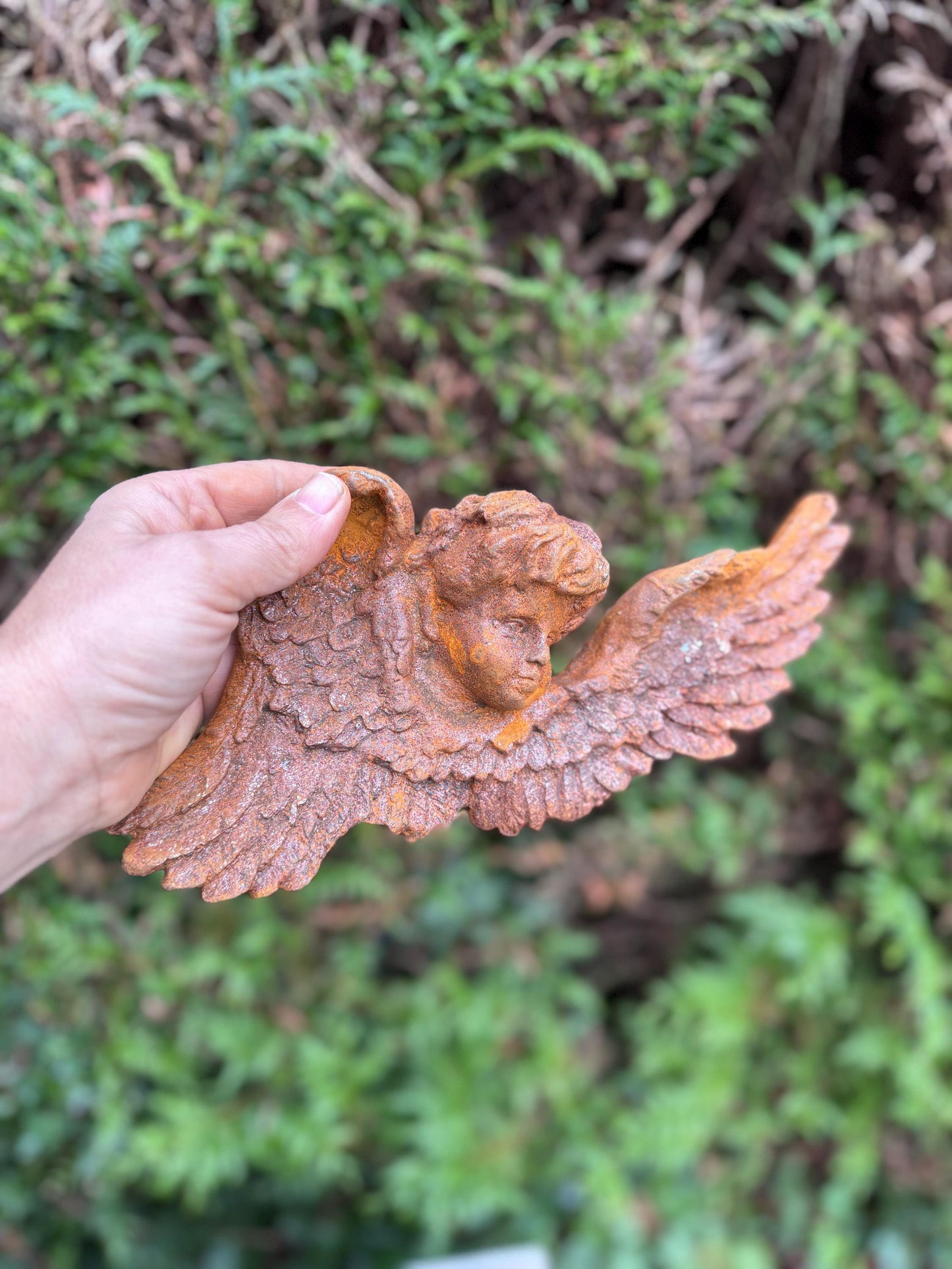 Winged Angel Head – Iron Sculpture. 20x30x5cm - 1.5Kg