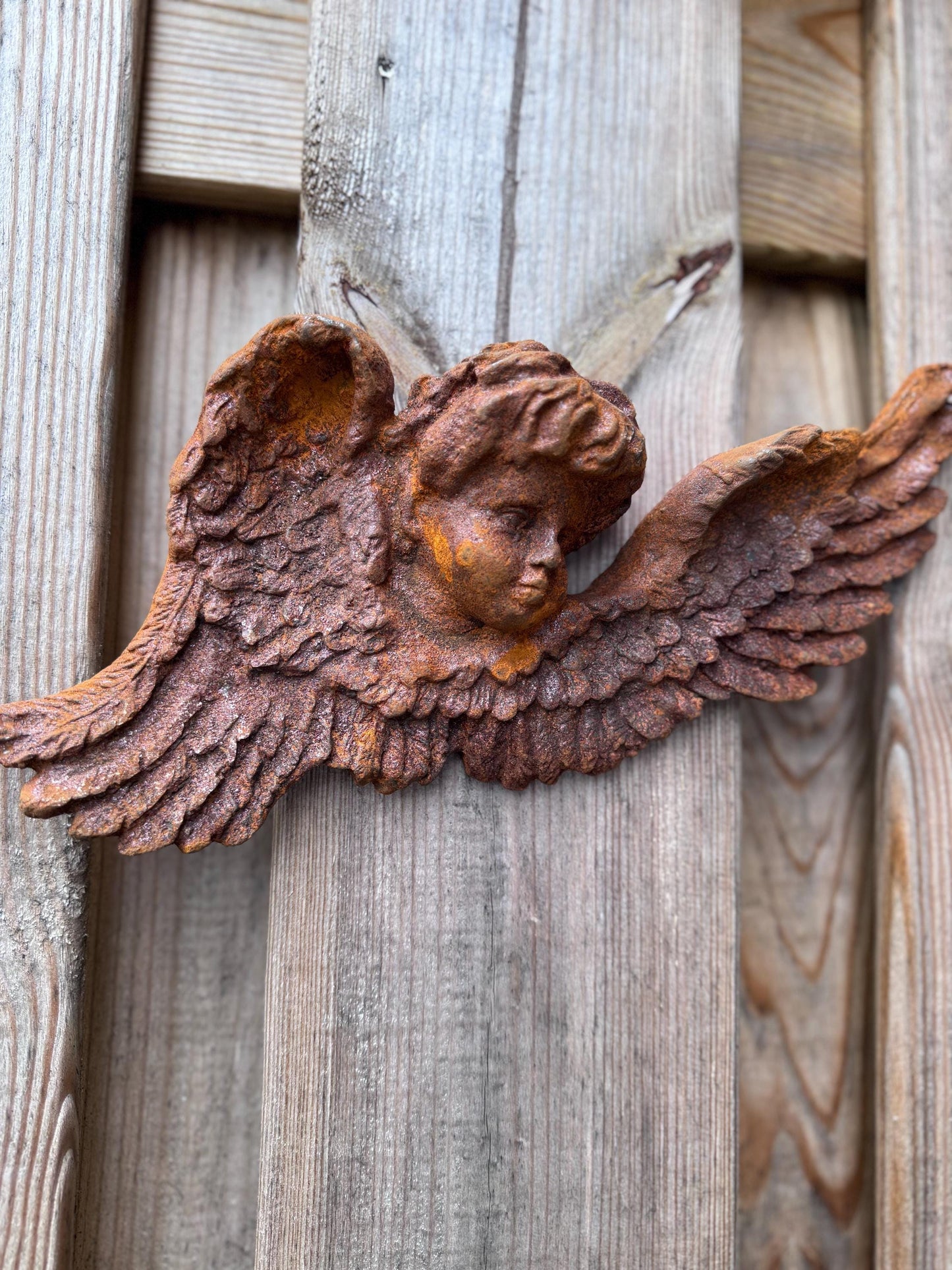 Winged Angel Head – Iron Sculpture. 20x30x5cm - 1.5Kg