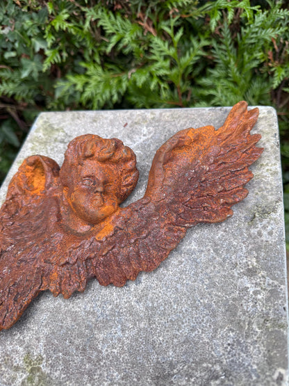 Winged Angel Head – Iron Sculpture. 20x30x5cm - 1.5Kg
