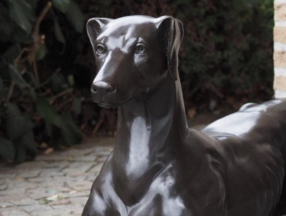 Resting Greyhound – Bronze Sculpture. 130x31x51cm - 12Kg