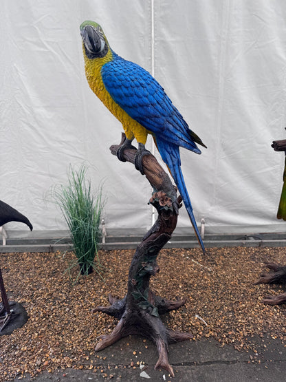 Blue Macaw on Branch – Bronze Sculpture. 70x70x168cm - 15Kg