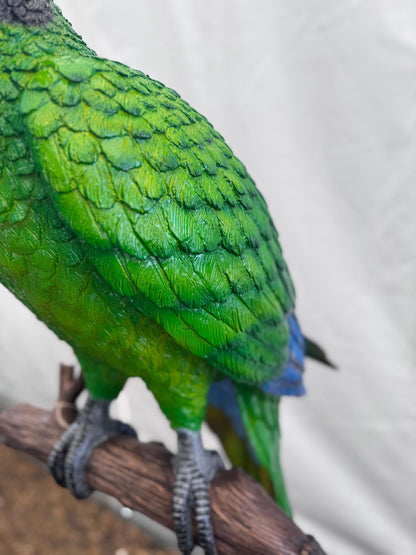 Green Macaw on Branch – Bronze Sculpture. 70x70x168cm - 15Kg